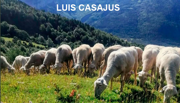 LUIS CASAJUS