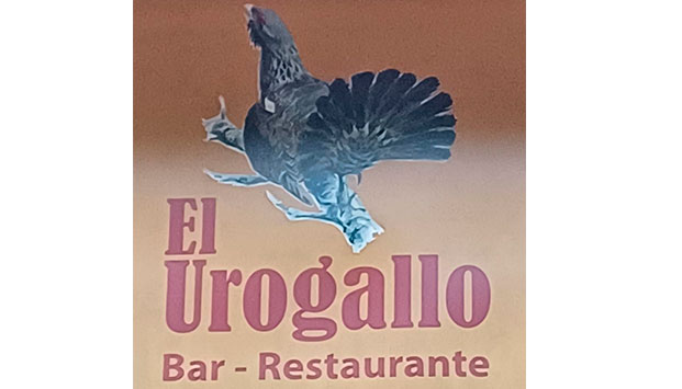 BAR RESTAURANTE EL UROGALLO