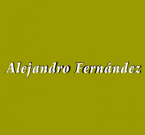 ARTESANÍA EN PIEDRA ALEJANDRO FERNÁNDEZ