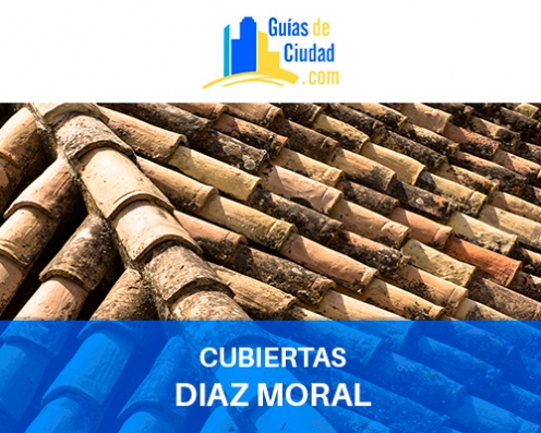 CUBIERTAS DÍAZ MORAL