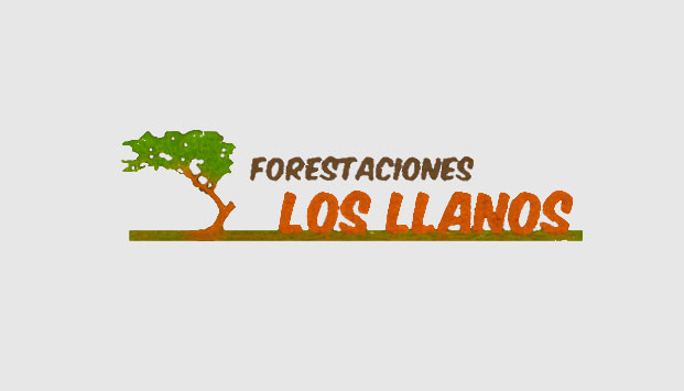 FORESTACIONES LOS LLANOS - FORBERRY