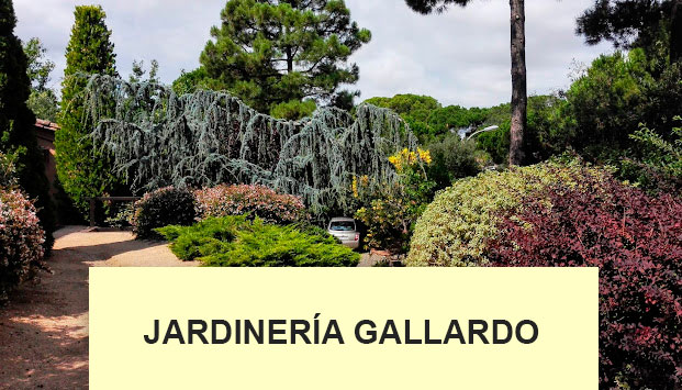 JARDINERÍA GALLARDO