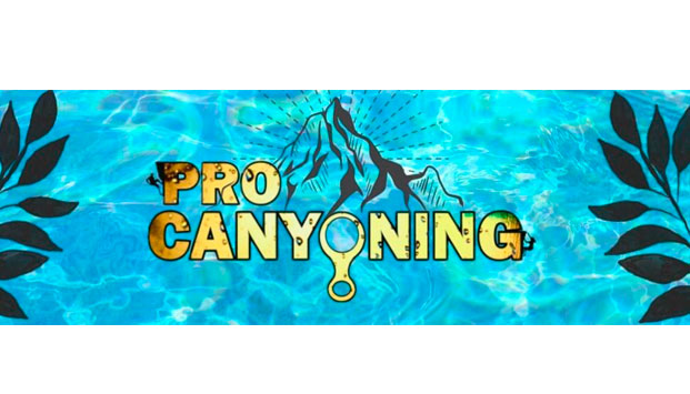 PROCANYONING