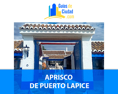 APRISCO DE PUERTO LAPICE